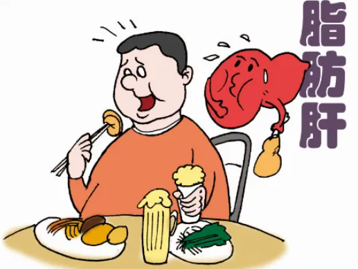 正常人肝组织中含有少量的脂肪,如甘油三酯,磷脂,糖脂和胆固醇等,其