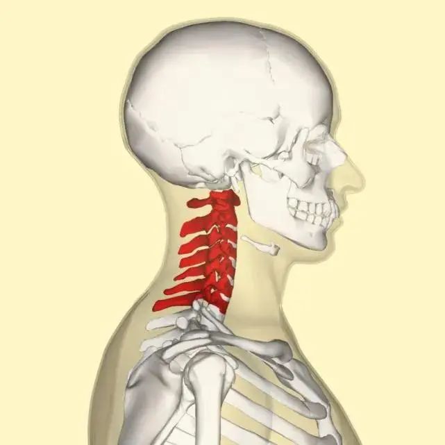 中医有治疗颈椎病的妙招吗?颈椎病有哪些类型?