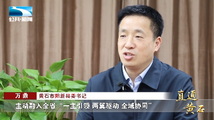 黄石市阳新县委书记 万鼎:"主动融入全省一主引领 两翼驱动 全域协同