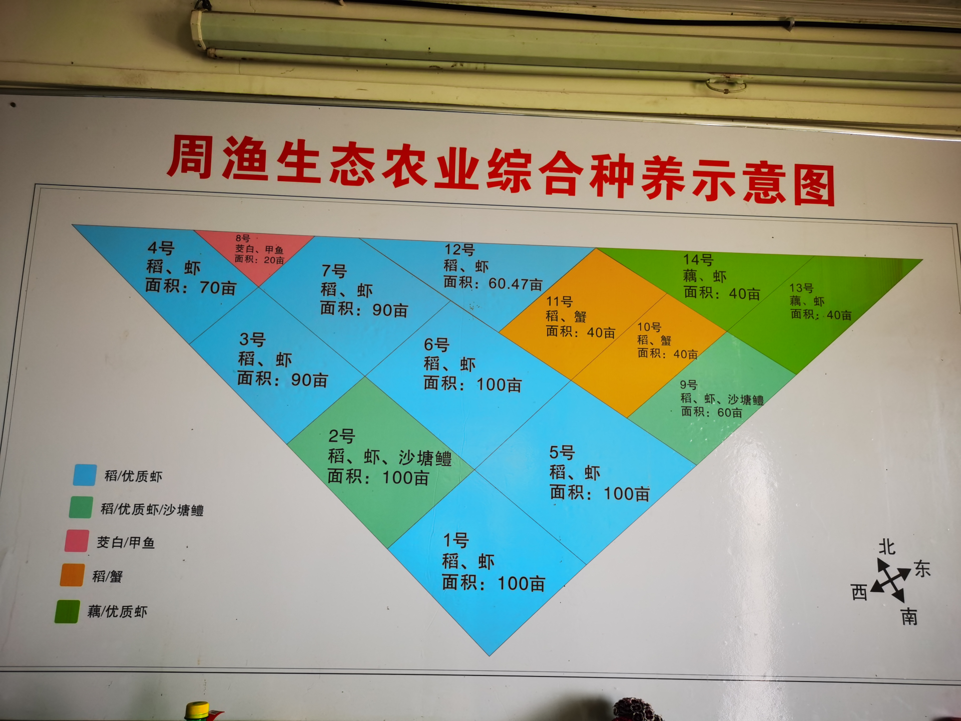 小虾多卖价低收益少湖北用综合种养新模式破题