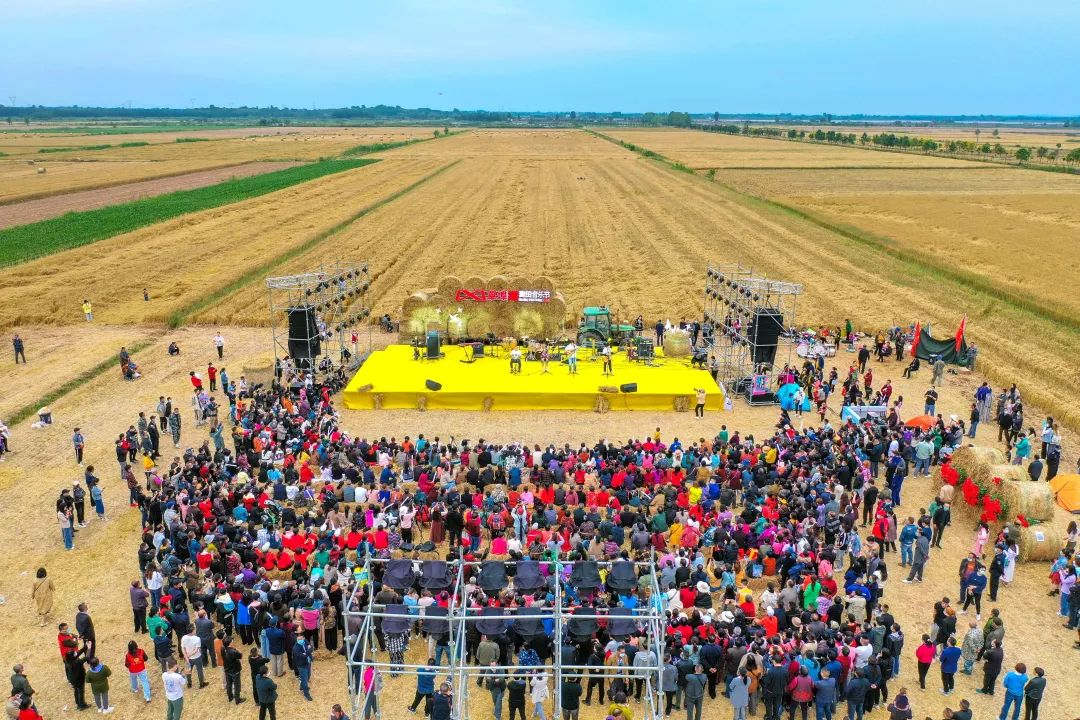 当阳:首届草埠湖麦田音乐节点燃农旅融合新引擎_长江云 - 湖北网络广