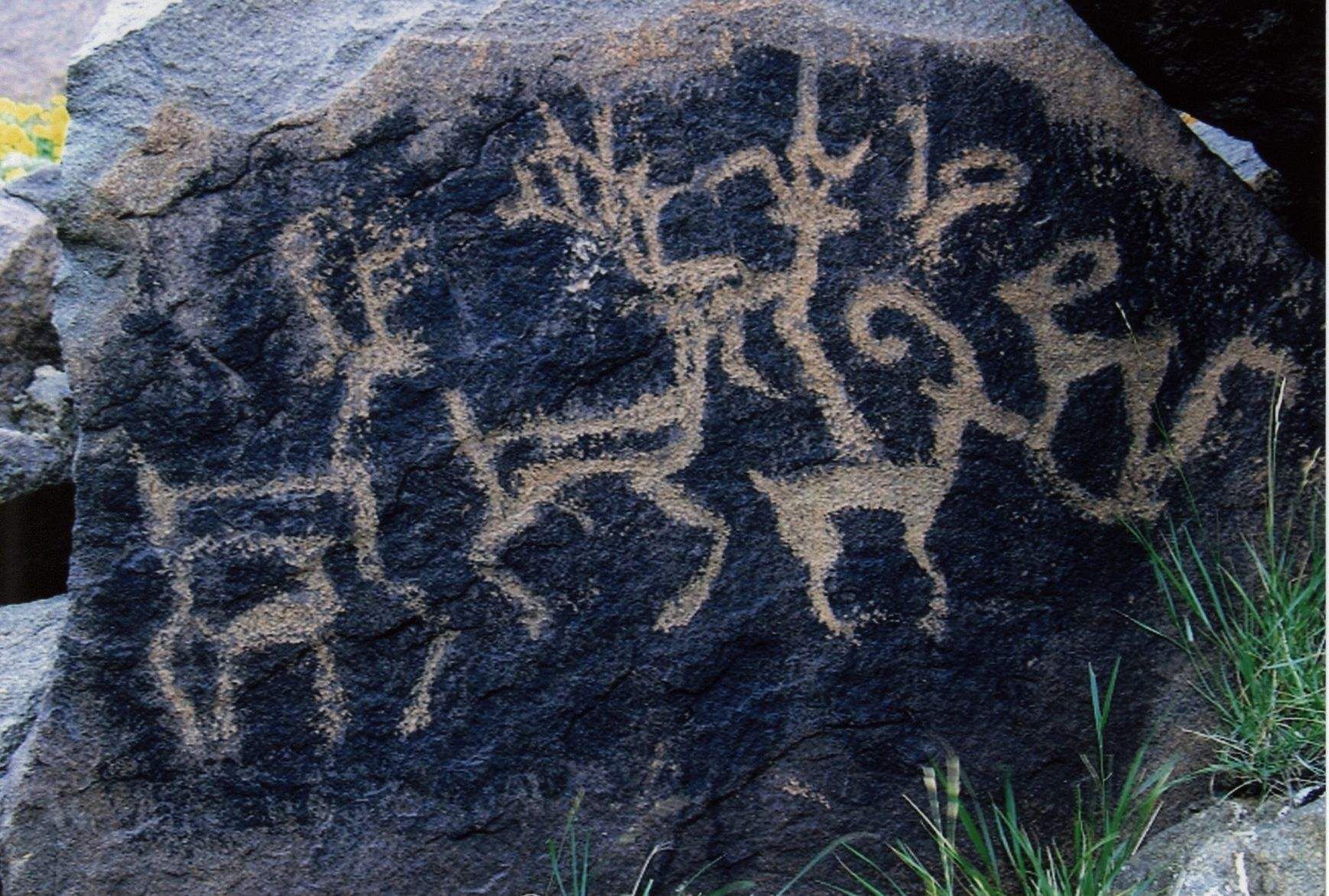 这是继干沟动物群岩画后,发现的又一处新的岩画点