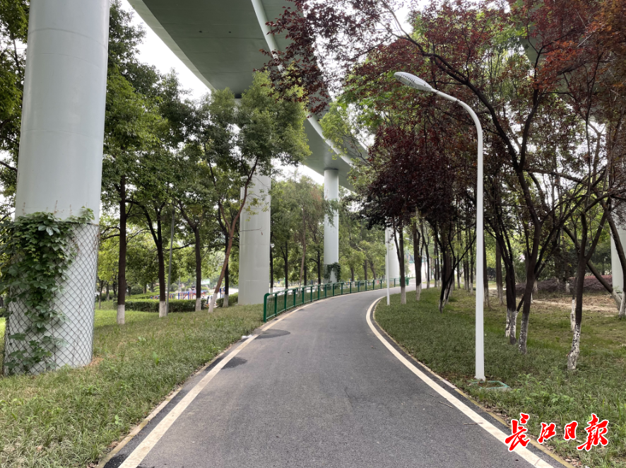 记者孙笑天 摄据悉,由武汉园林绿化建设发展有限公司实施环汉口绿道