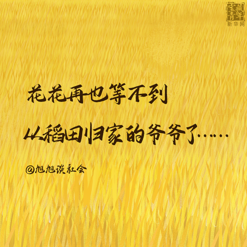 这30句话是我们对袁隆平最深的思念