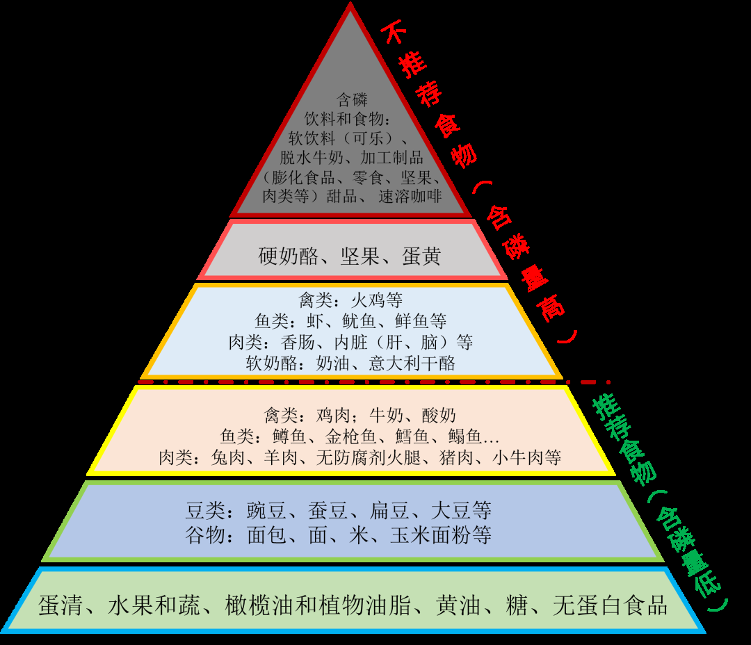 如上图中的磷"金字塔"所示,下层水果,蛋清,糖,蔬菜等食物含磷量少