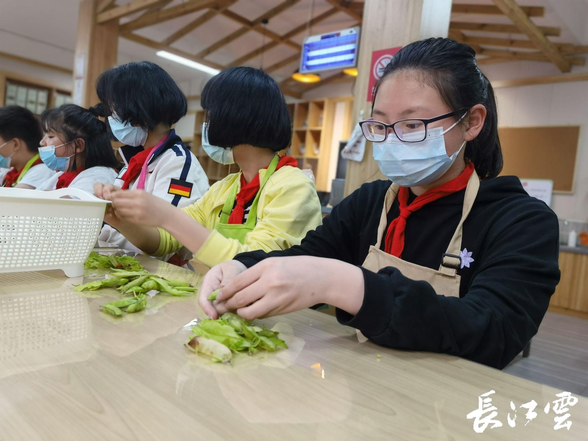 家长笑了武汉的小学生劳动课学起了种菜和做饭
