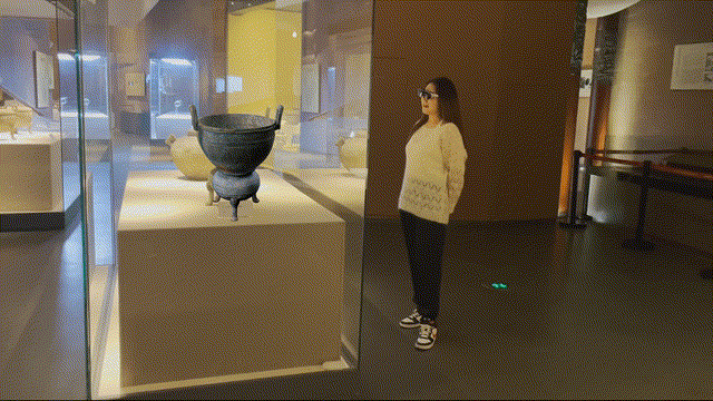 远古动物在武汉醒来ar博物馆沉浸式体验今起上新园博园