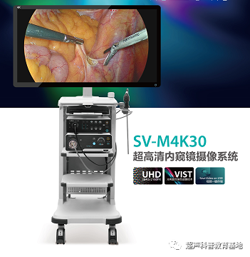 国际博物馆日带你走进中国医用超声科普基地