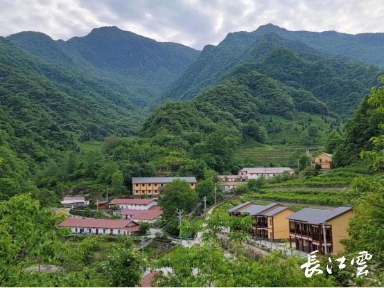 太美了十堰竹溪营盘山万亩海棠正盛开