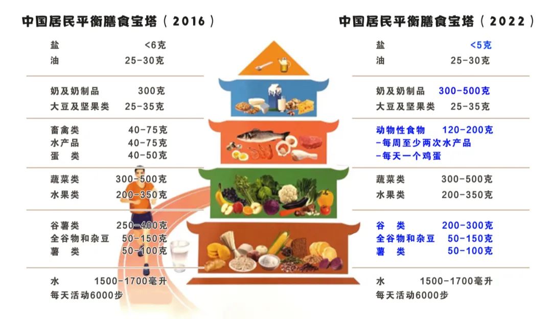 全民营养周新版中国居民膳食指南来了一文解读最新变化