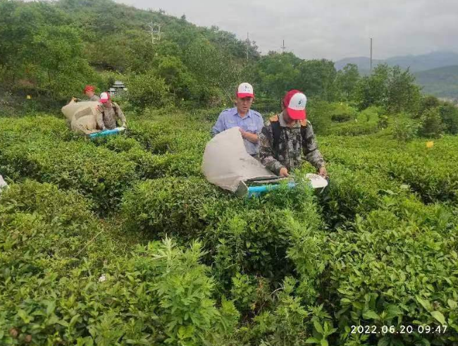 2021房县门古寺镇书记图片