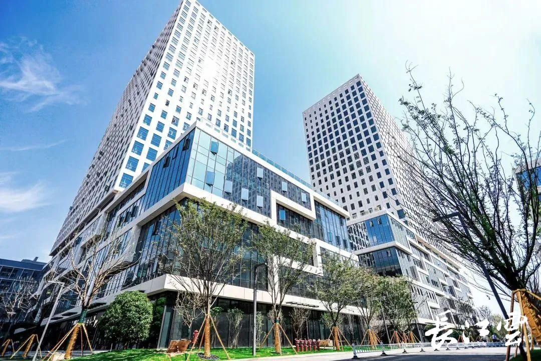 公司(以下简称"中储科技")在武汉揭牌成立,并落户洪山人工智能大厦