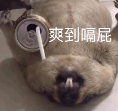 更爽的生活了吹着空调喝着冰饮没有比抱着西瓜在这个季节里按下空调