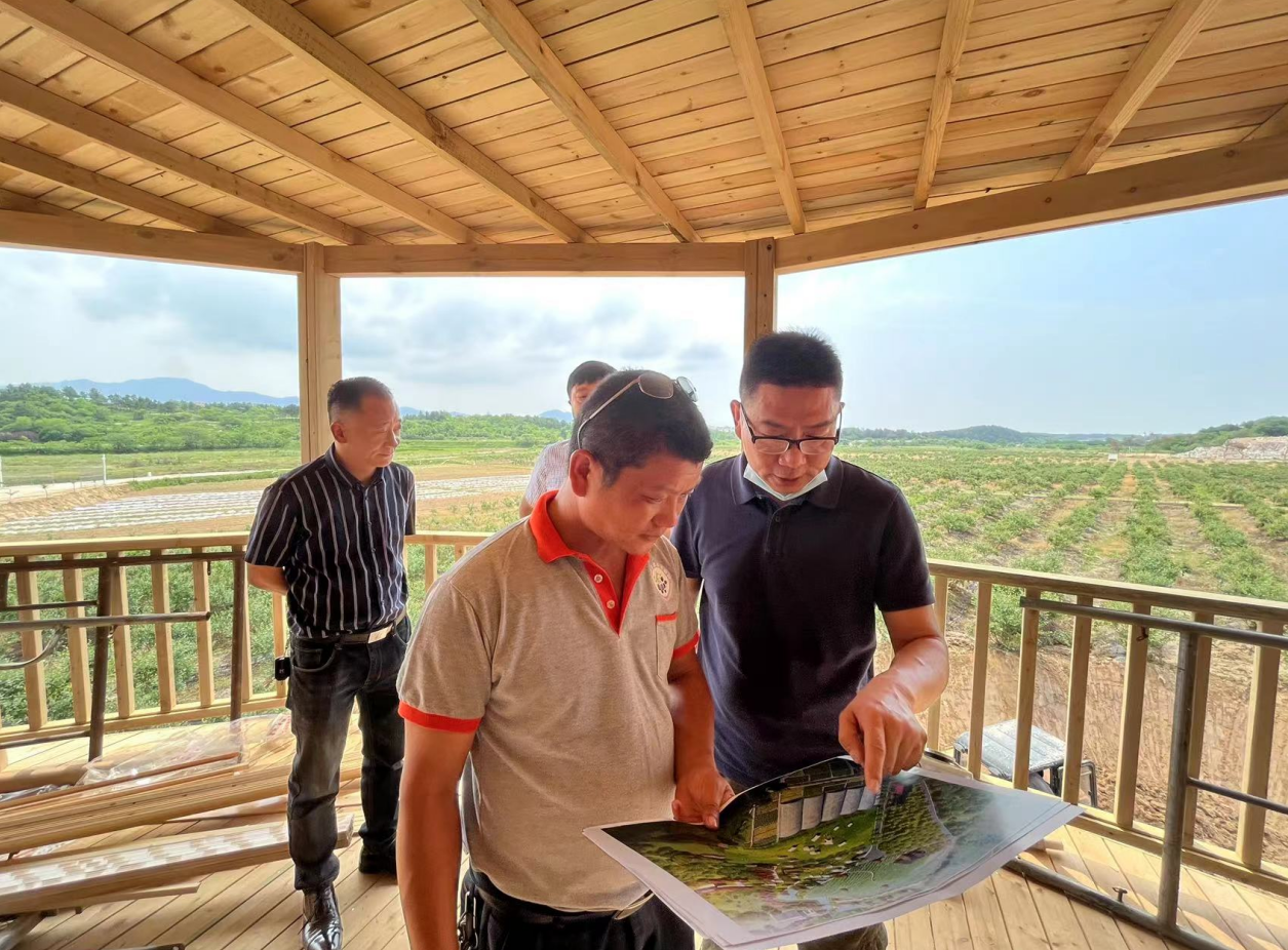 5月24日,武汉产业集团国企联村工作队一行再次下乡,来到黄陂区长轩岭