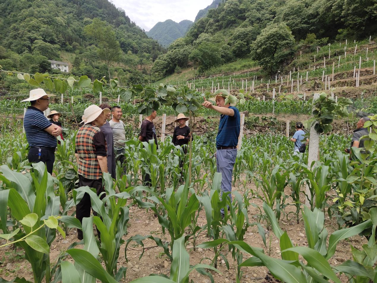 兴山县古夫镇书记图片