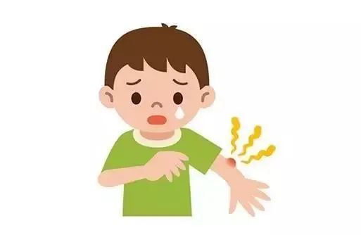 蚊子叮咬奇痒难耐怎么办