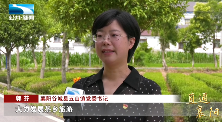襄阳谷城县五山镇党委书记 郭芬:"近年来,我们依托茶产业,大力发展