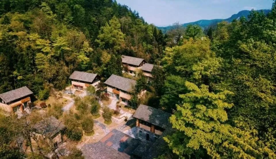 图/龙船调旅游白鹊山村地处利川腾龙洞和恩施大峡谷腹地,已连续四年