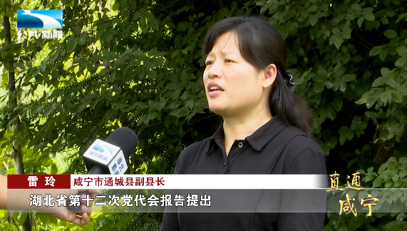 直通咸宁通城唤醒抛荒地耕出新希望