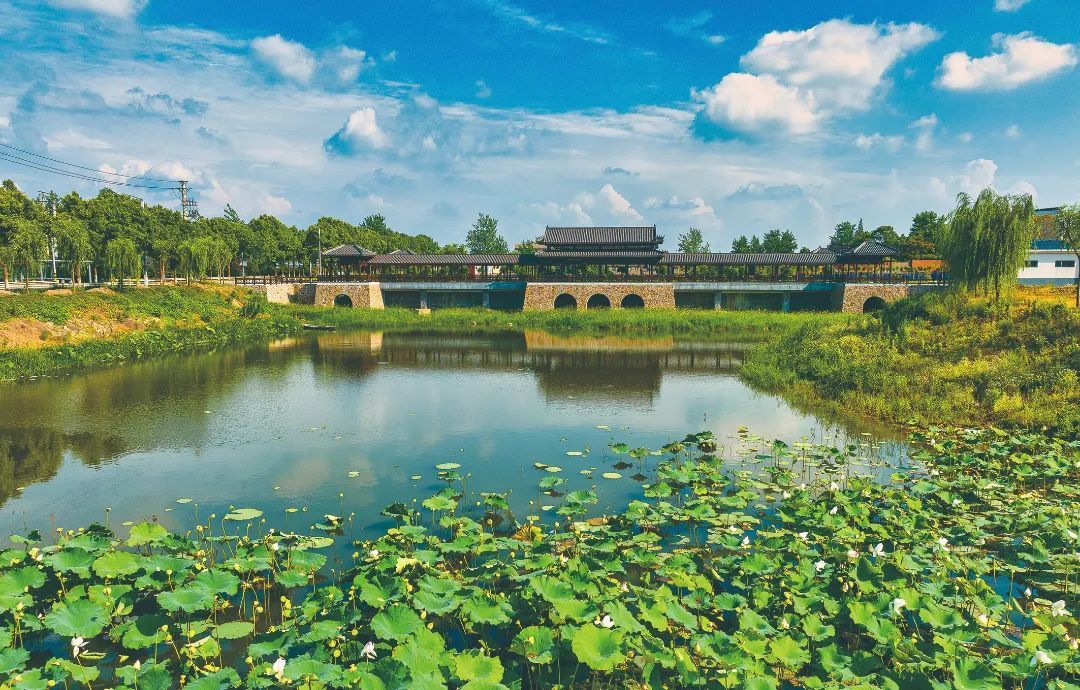 "沟壑纵横,水草茂盛,虾肥螺密"生态环境,成就了沙湖美食独特的风味