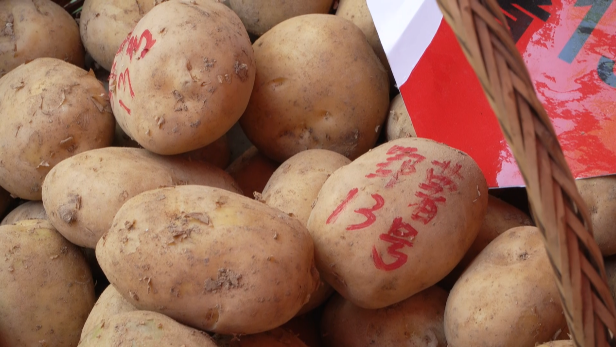 宜昌长阳小土豆拓宽乡村振兴路