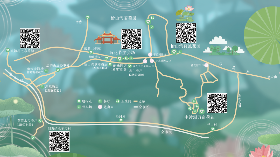 万亩荷塘好看吗武汉江夏跟我走