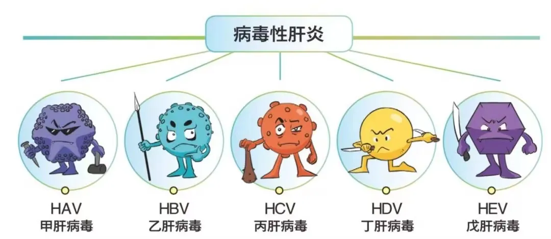 预防病毒性肝炎,做好3件事_云上通山