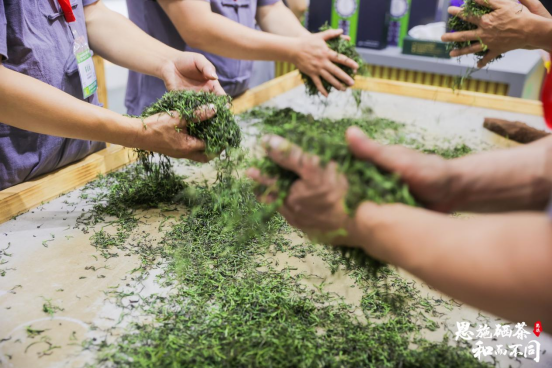 高山茶批发，品味自然馈赠