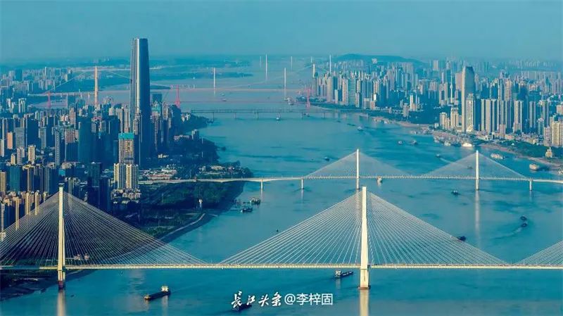 你一眼能看出几座桥武汉八座长江大桥一图全收