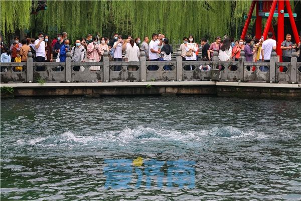 2986米趵突泉持续喷涌19周年创2002年以来历史同期最高地下水位