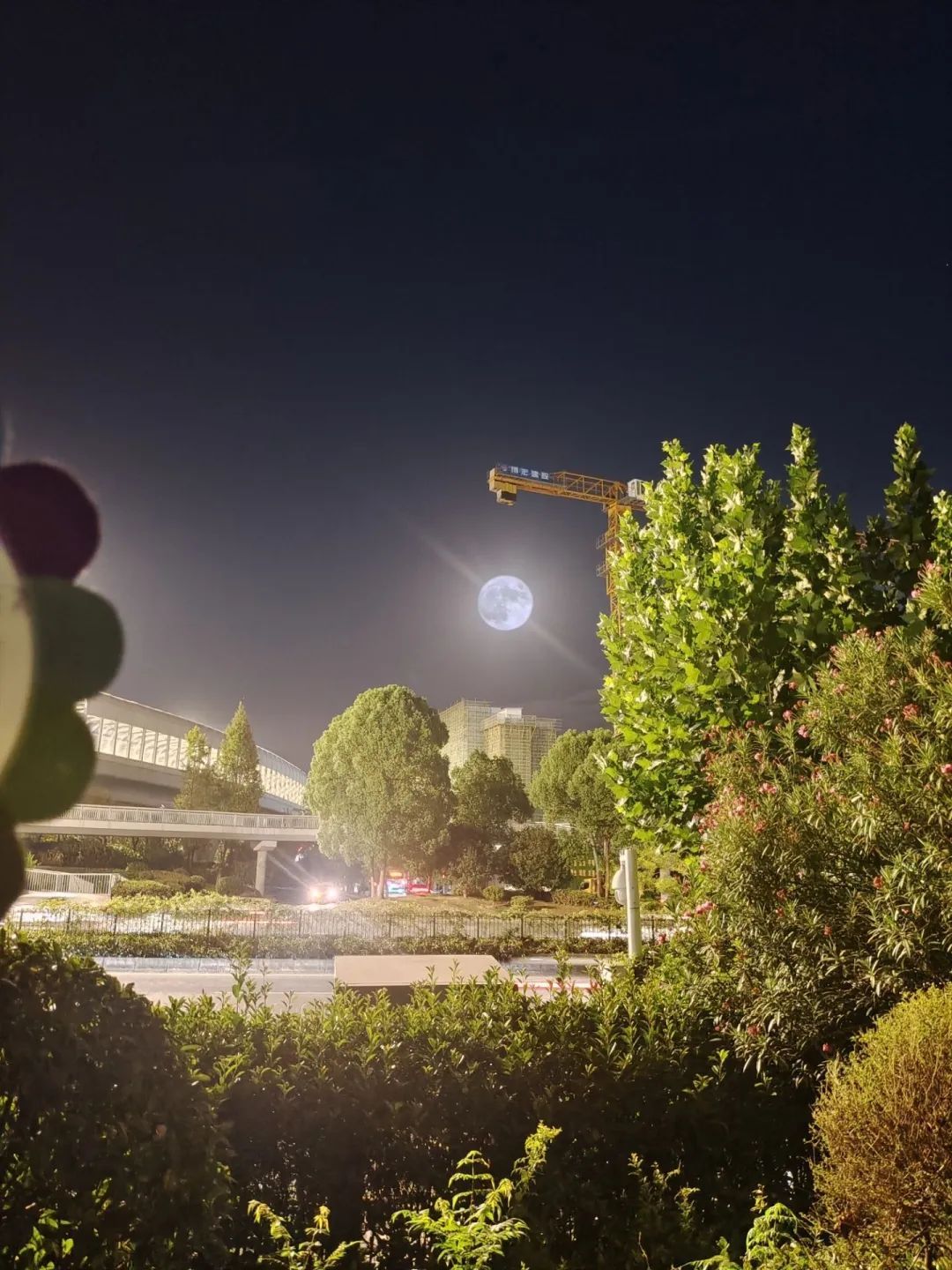 把月亮吊起来.城市摄影队@江华 摄一轮圆月.
