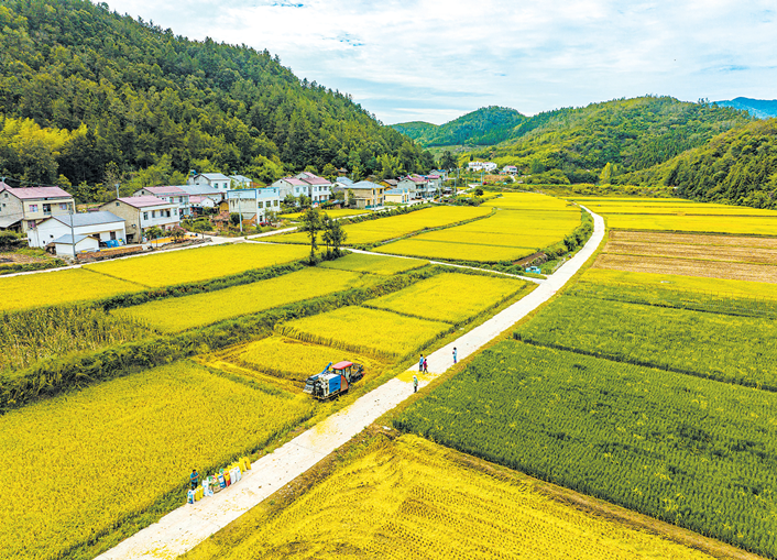 忽如一夜秋风来快来打卡十堰美景