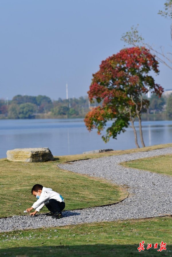 湖北武汉径河边上秋景如画