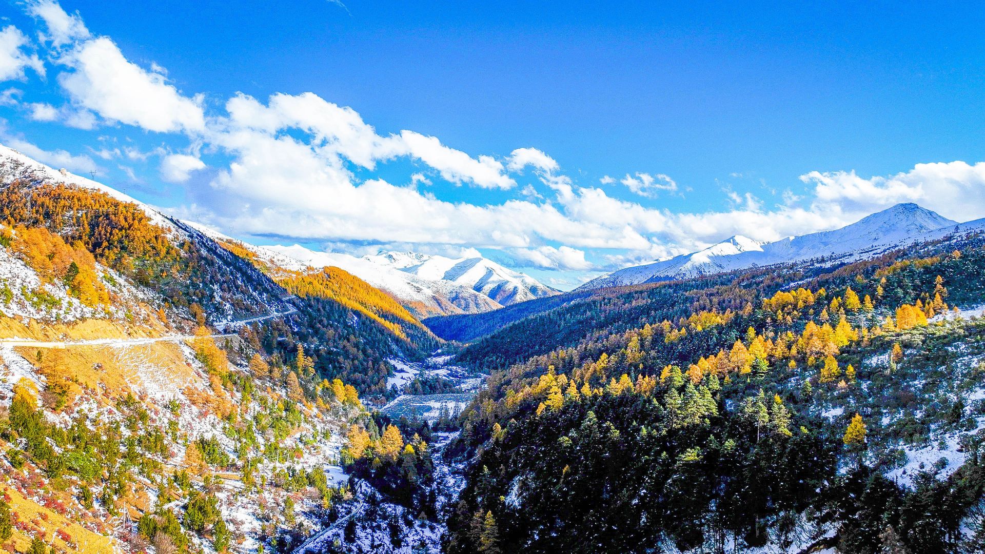 云南白马雪山遇初雪_长江云 - 湖北网络广播电视台官方网站