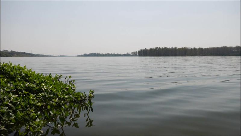 安陆府河国家湿地公园图片