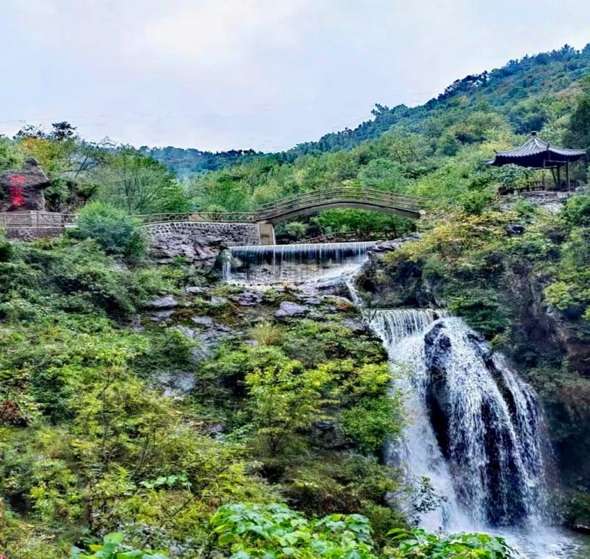 襄阳谷城南河乘蜂破浪开启甜蜜事业