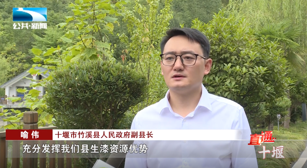 十堰市竹溪县人民政府副县长 喻伟:"充分发挥我们县生漆资源优势,培育