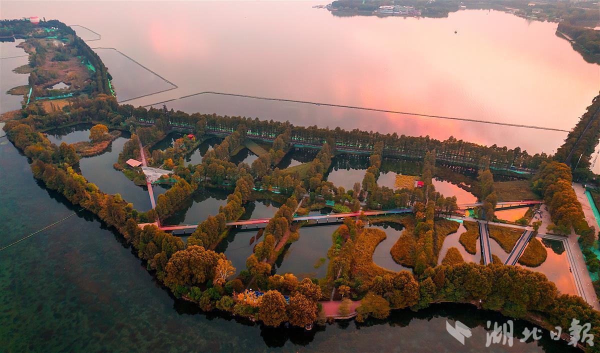 武汉华侨城湿地公园图片