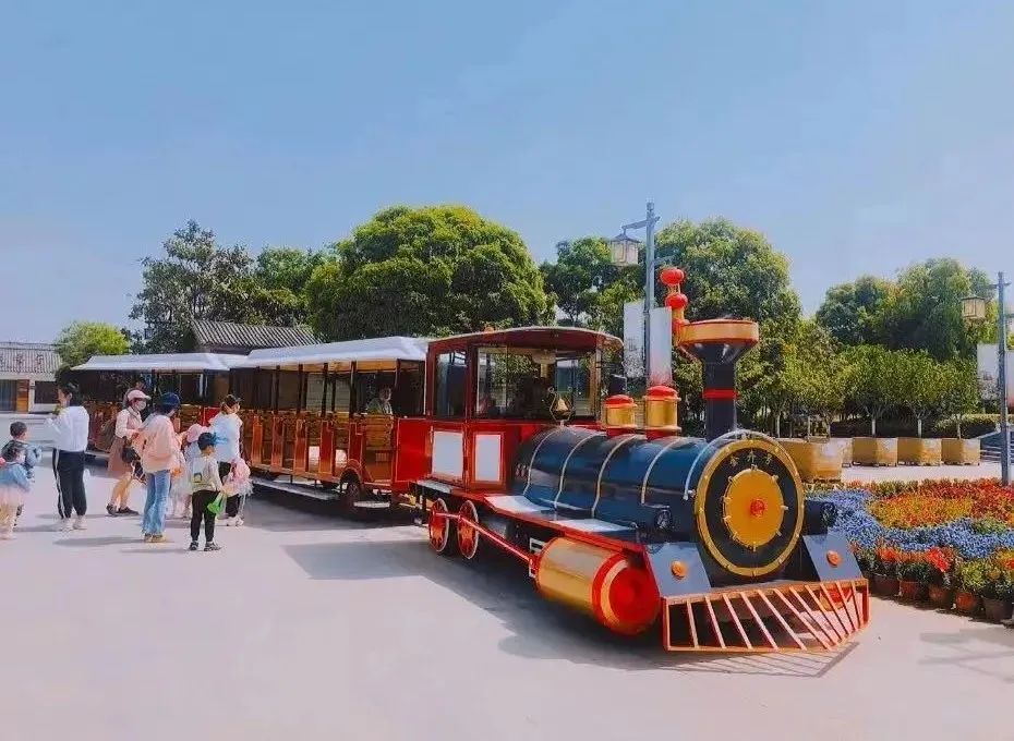 金卉庄园花开正旺快来一场浪漫之旅吧