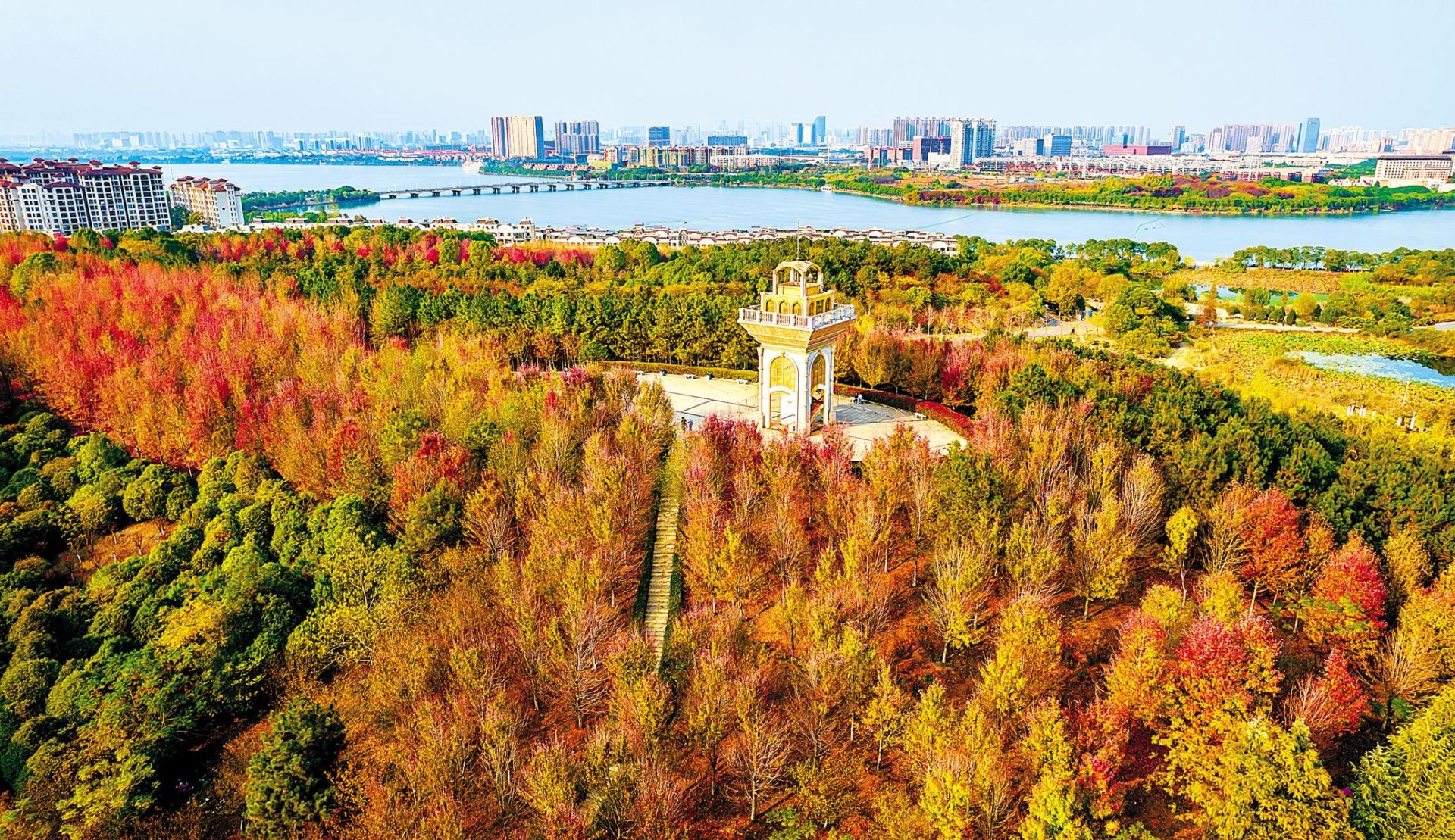 11月9日,鸟瞰武汉藏龙岛国家湿地公园,满园枫叶正红,为初冬江城增添了