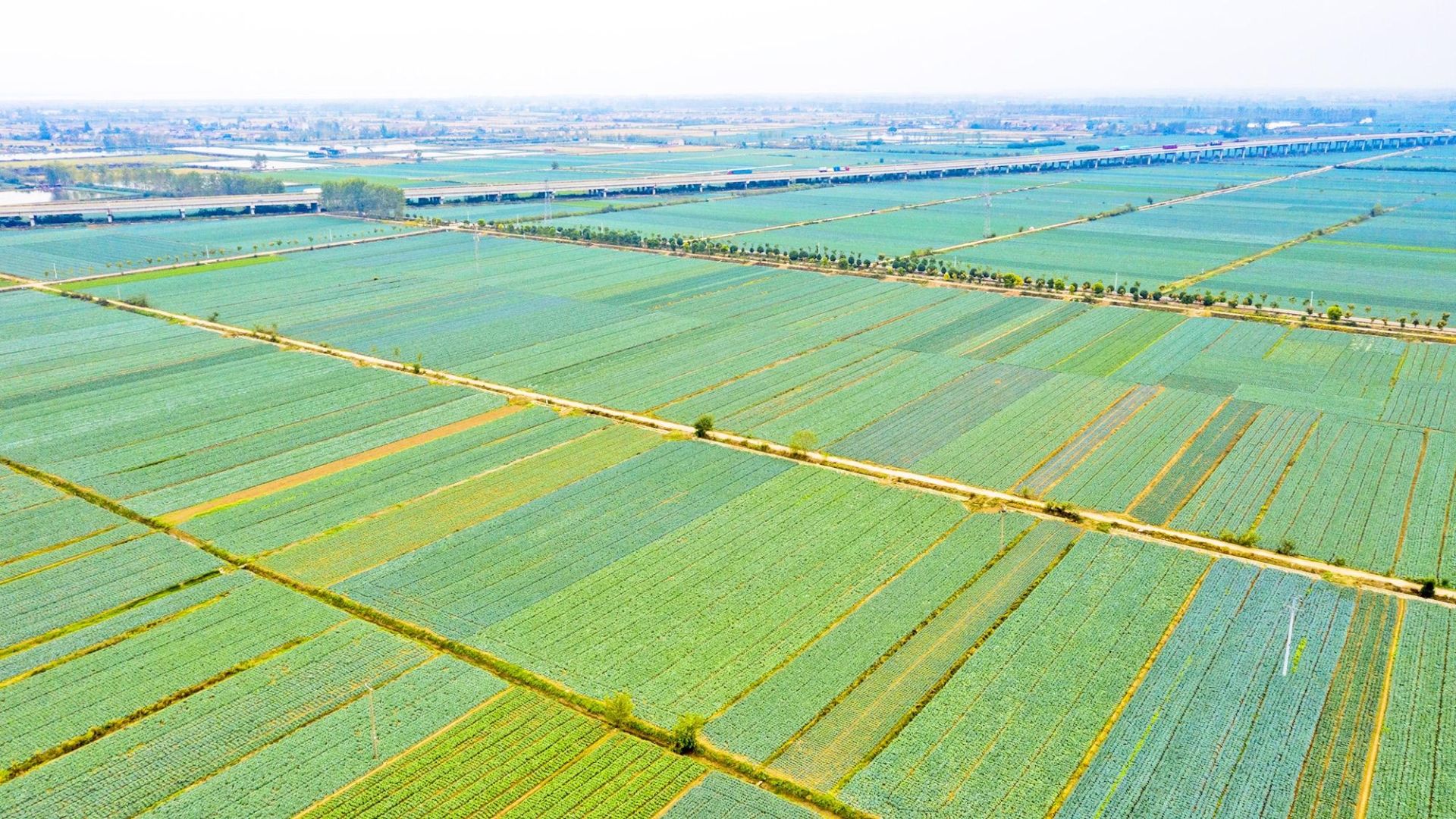 来源:农村新报编辑:夏倩编审:黄鹏