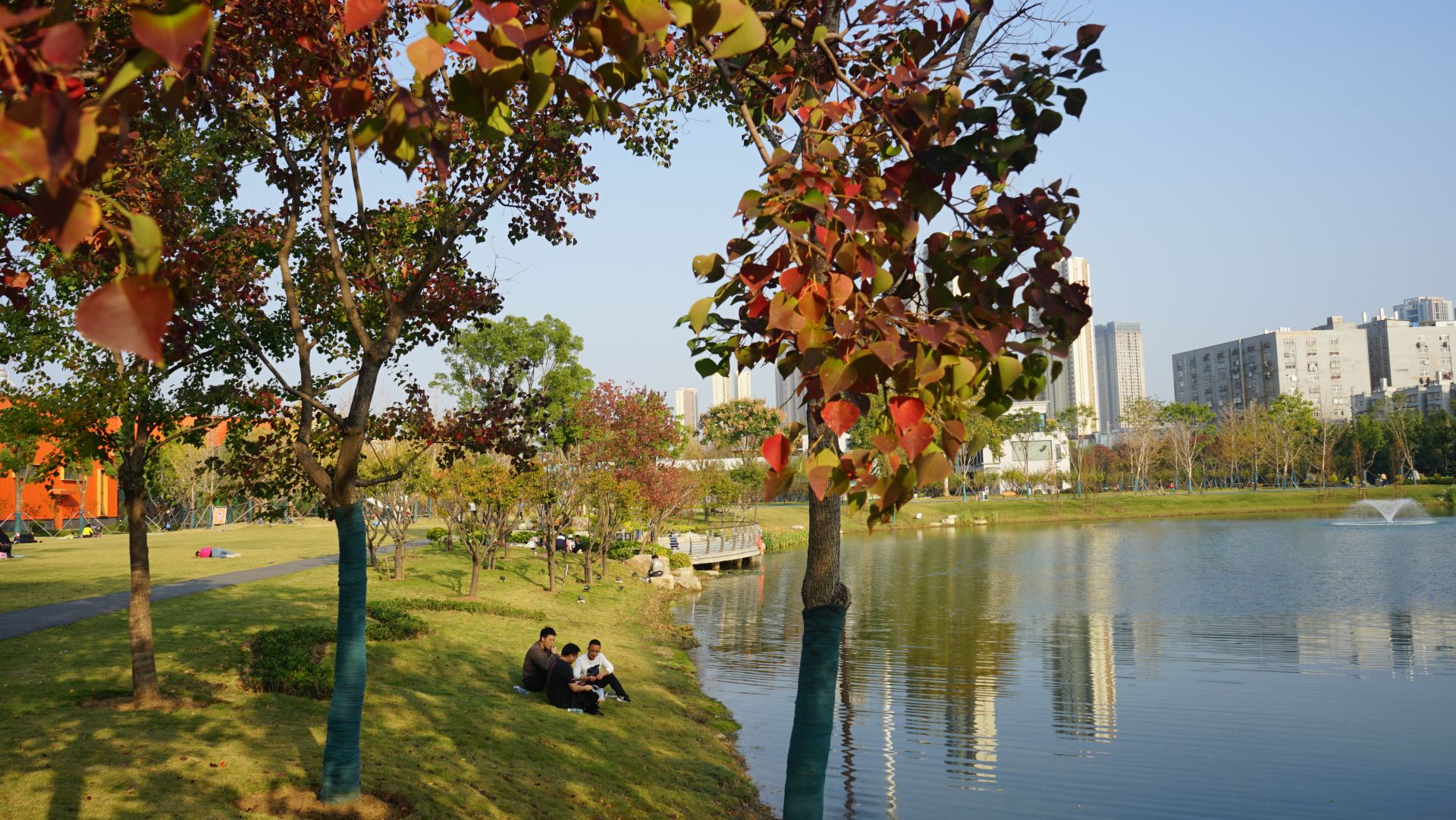 深秋时节来武汉常青公园赏梦幻秋色