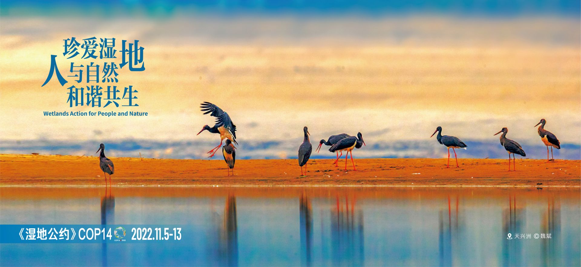 松滋洈水国家湿地公园:湖光山色,候鸟翩飞