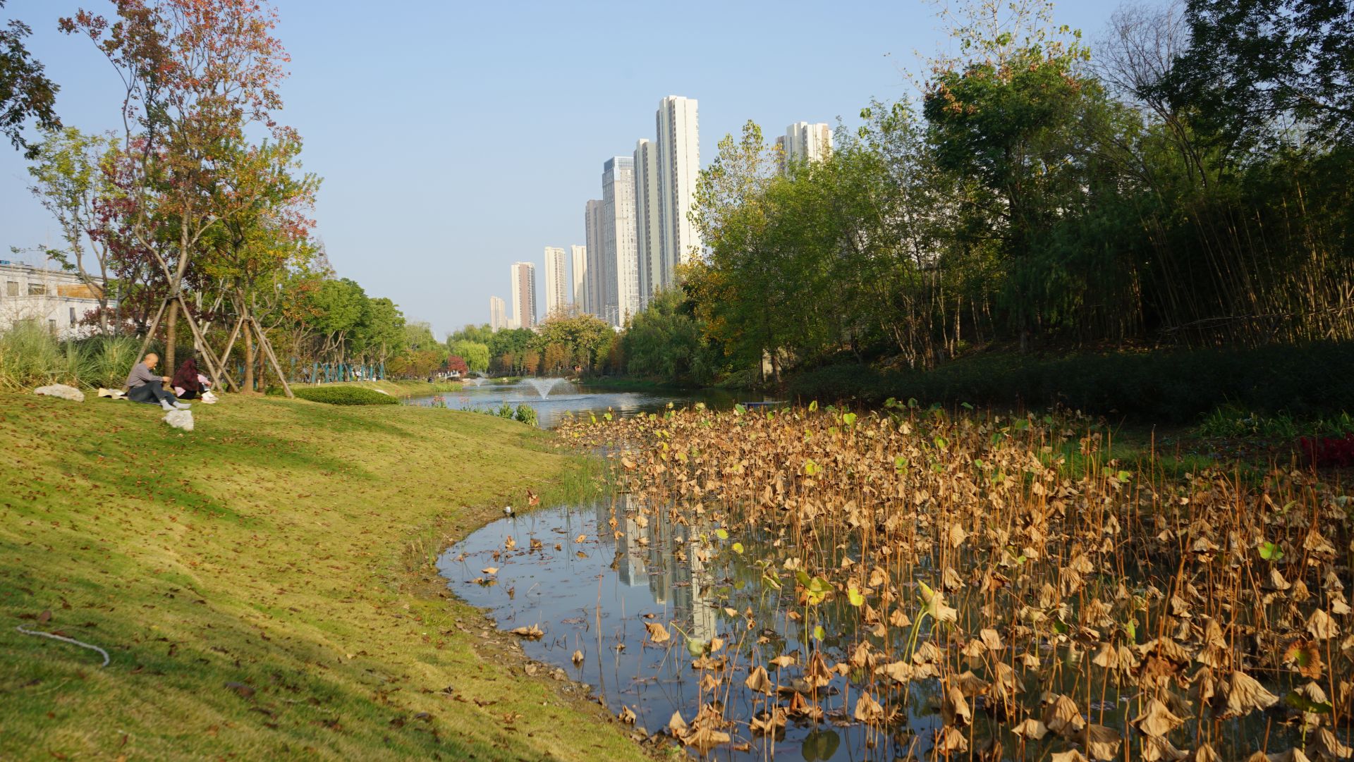 深秋时节来武汉常青公园赏梦幻秋色