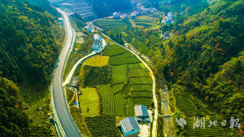 茅箭乡村旅游驶入发展快车道