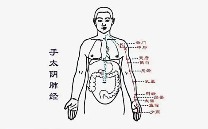 在日常生活中