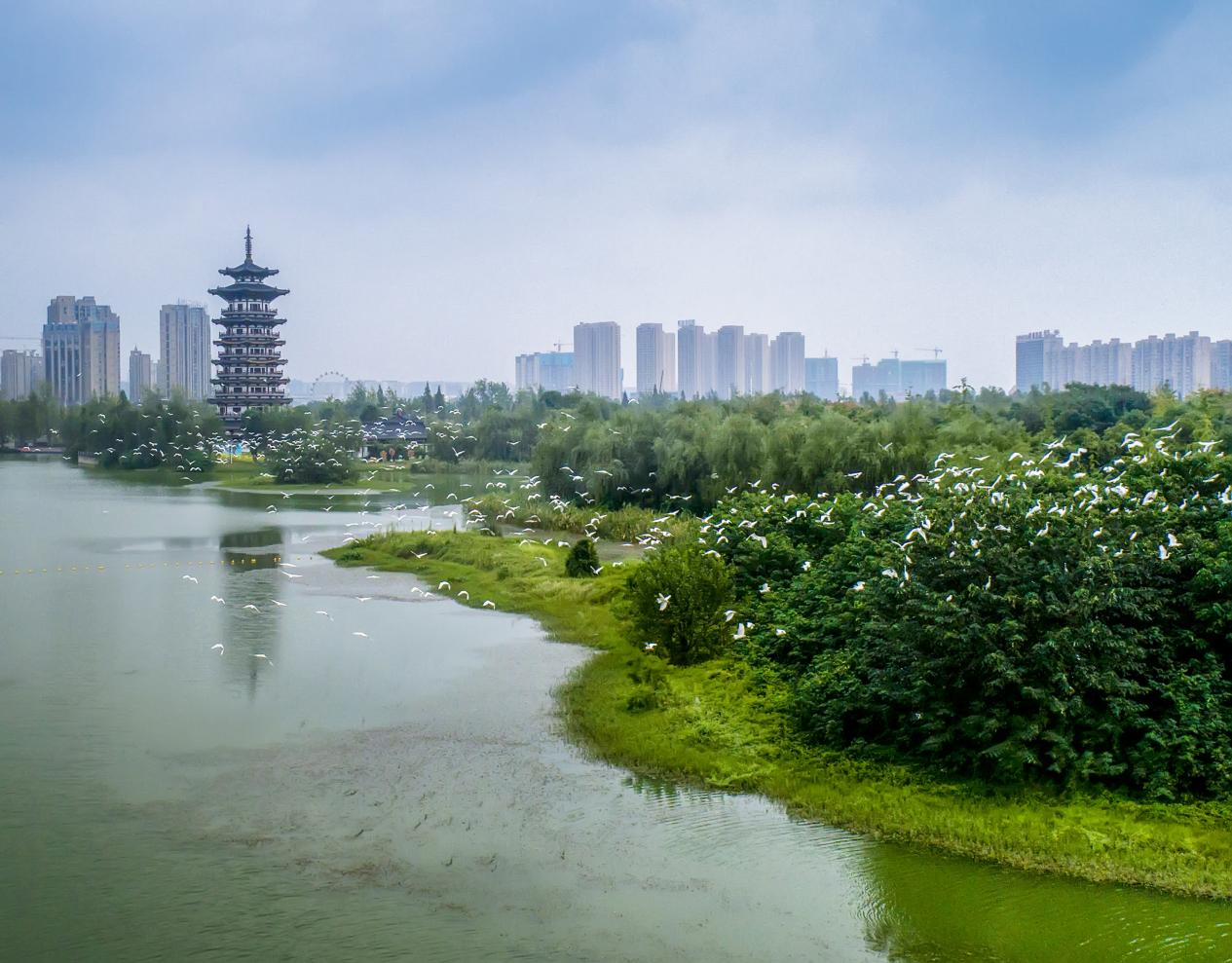 共赴湿地之约在长沙有个城市会客厅洋湖湿地公园