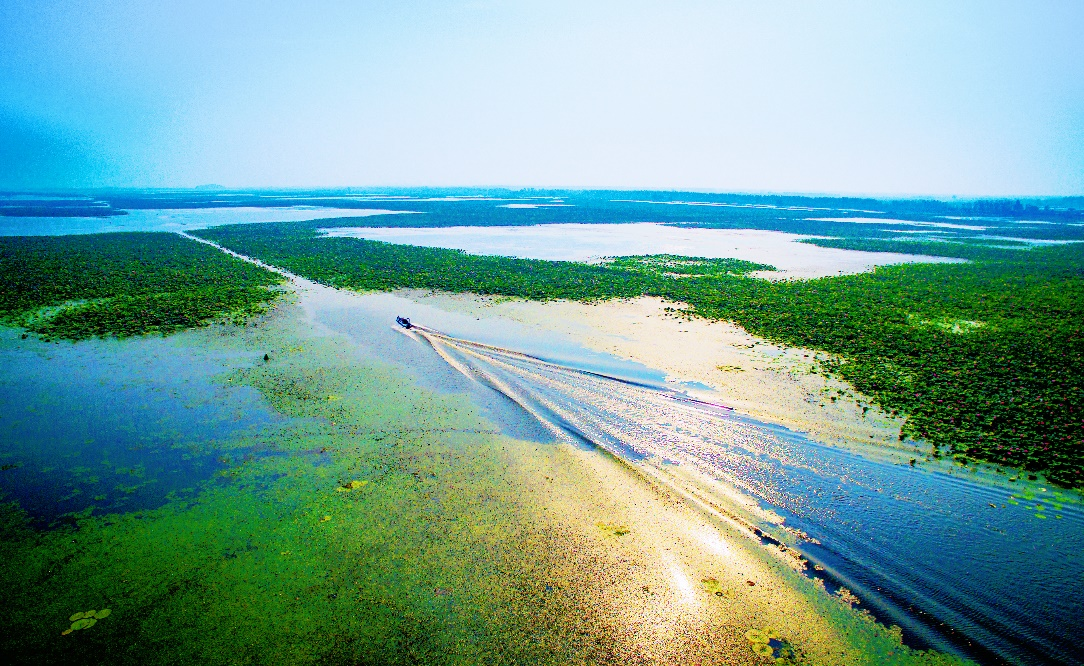 共赴湿地之约在湖北洪湖一睹云梦泽之大美