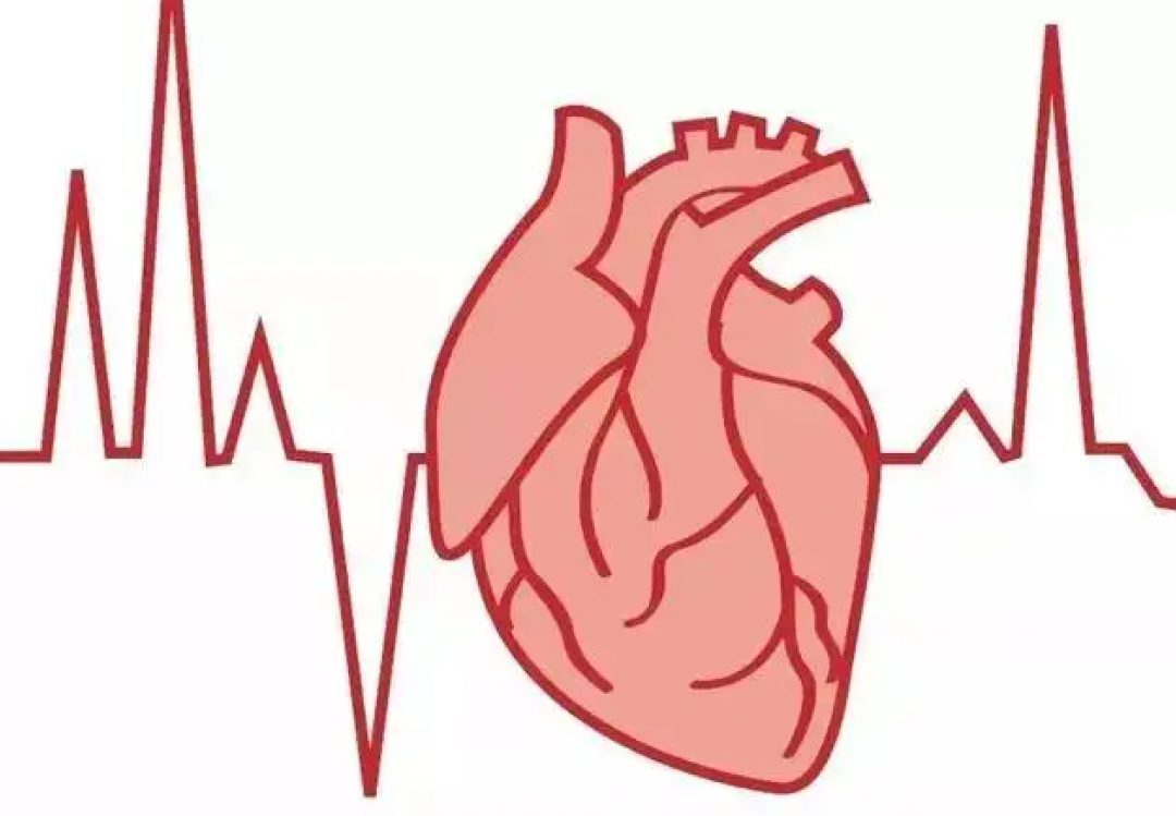 心脏搏动动画图片