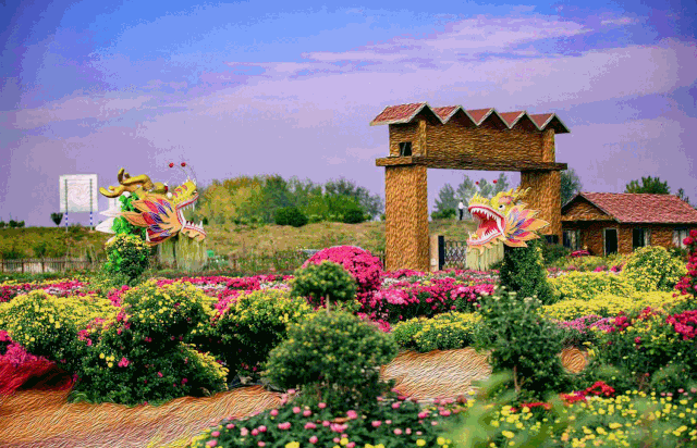 知音山水,花海争艳!